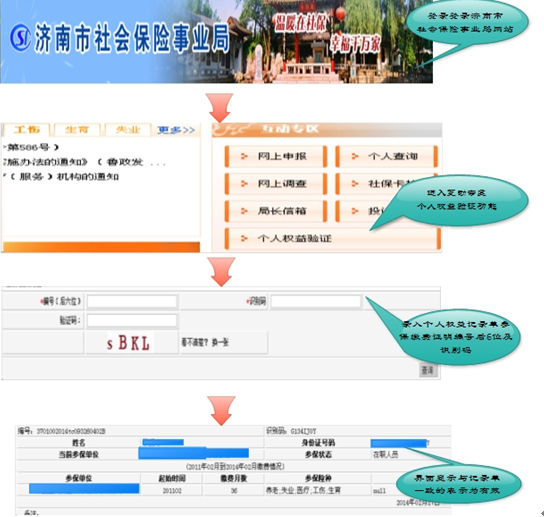 社保认证最新版下载，操作指南及注意事项