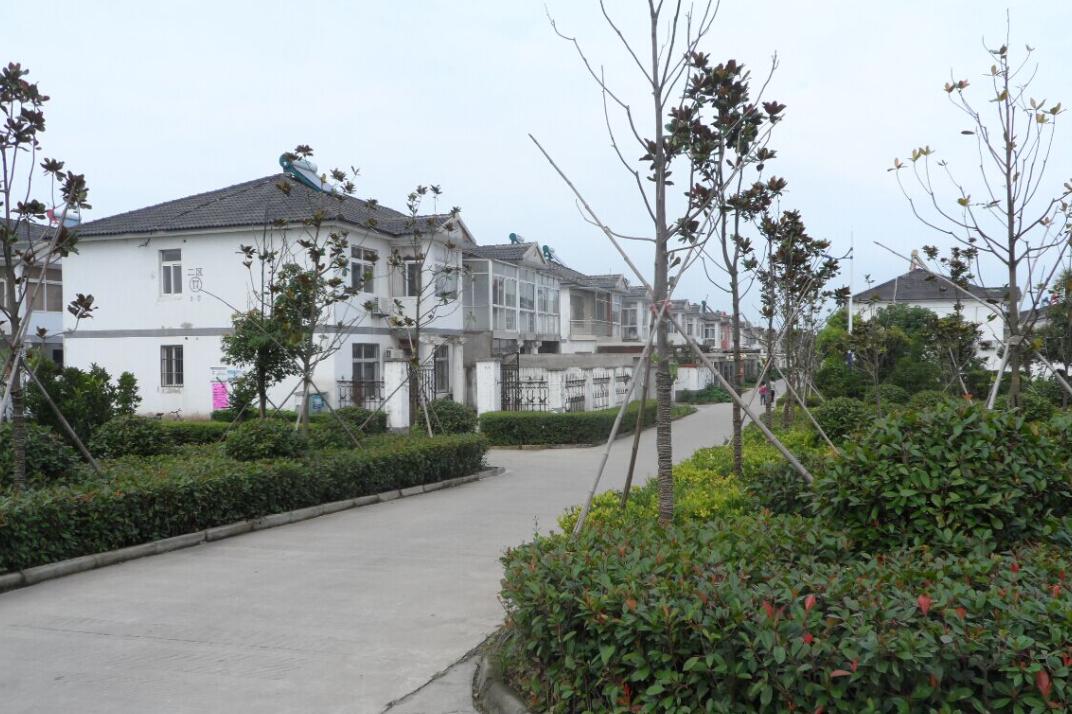 保健食品销售 第974页