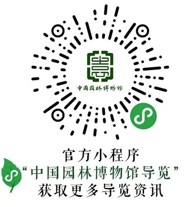 戴南人才网最新招聘，小巷深处的职业宝藏探索