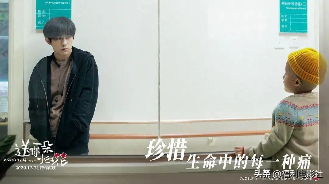 韩国电影活着最新票房揭秘，自然美景之旅，探寻内心平和与喜悦的旅程