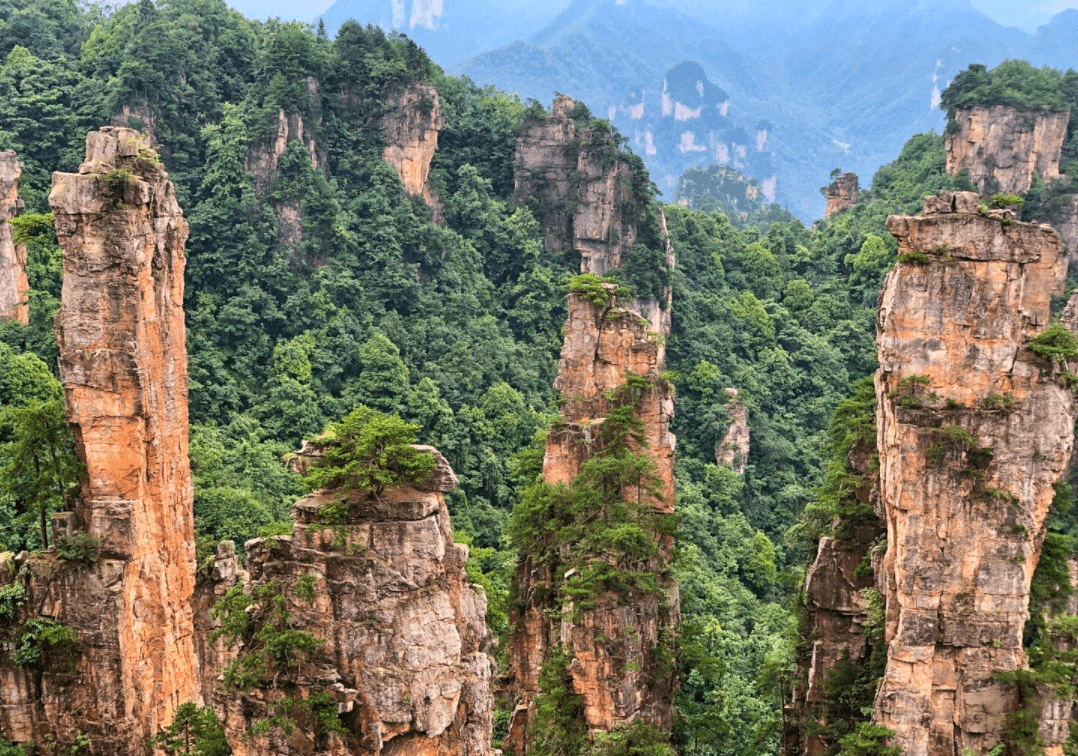 湾里最新报价，自然美景之旅，探寻内心平和与宁静的旅程