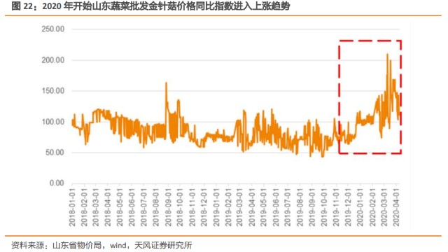 金针菇价格最新行情及分析概览