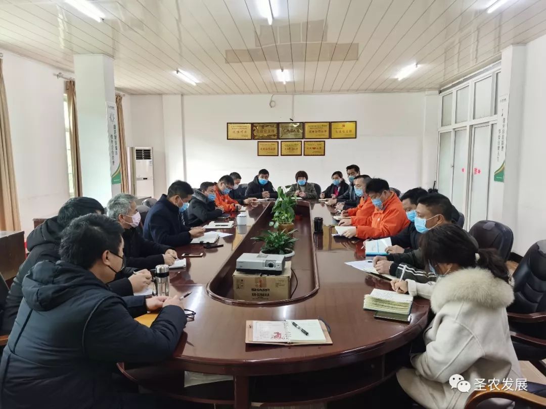 圣农发展最新动态解析，观点阐述与分析