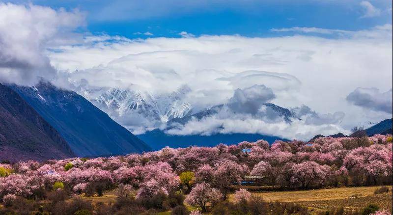 默拍新锐，探寻自然美景之旅，寻觅内心平和之地
