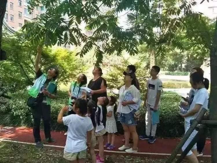 杭州公馆最新消息,杭州公馆最新消息，一场自然美景的探索之旅，启程寻找内心之平静