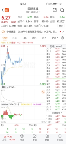 国际实业股票全球瞩目，卓越表现引领行业前沿