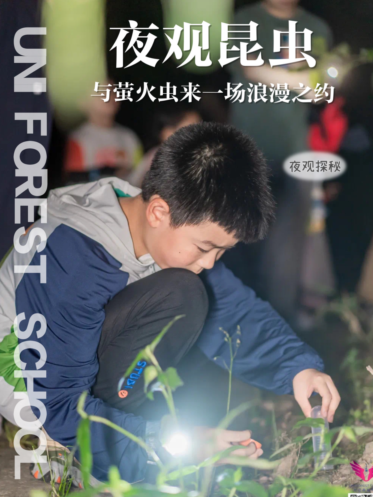 夜虫秀最新版，星光下的友情夜话盛放之夜