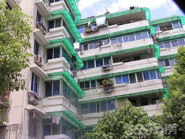 兴城租房最新动态，巷弄深处的独特小屋