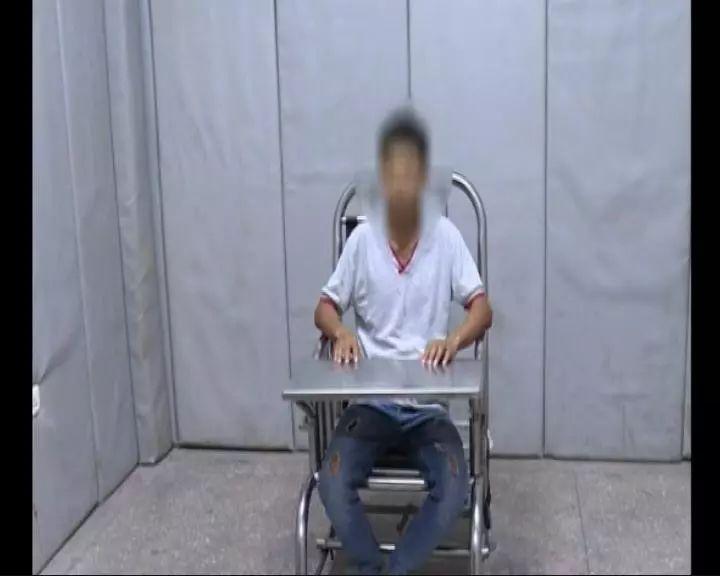 偷鸡小分队，最新下载，开启学习与成长冒险之旅