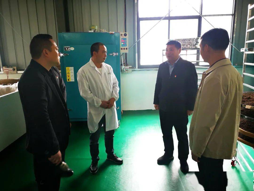 西路街道北三村最新发展概述