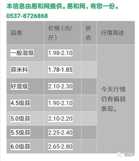 今日金乡蒜价格行情详解，如何获取与理解大蒜价格走势及最新行情更新