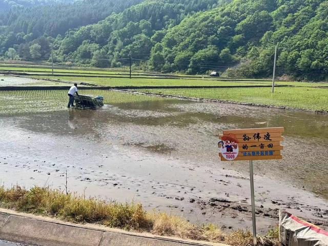 井陉利安驾校最新费用揭秘，自然美景下的探索之旅学习费用概述