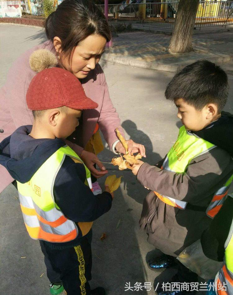 观点阐述与分析