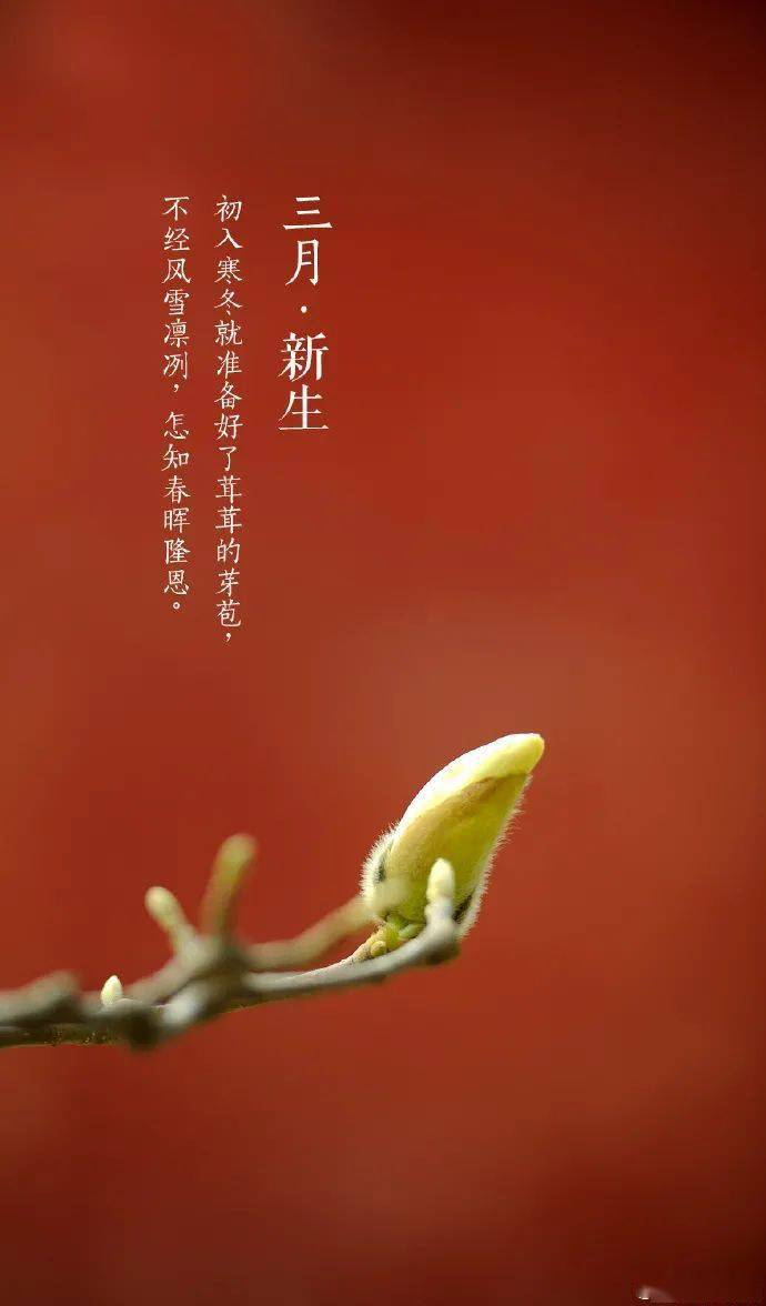 每日一禅最新文章探索禅修奥秘与意义