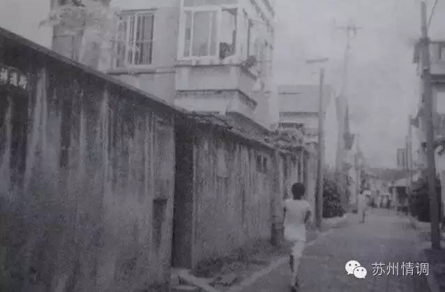 单位犯罪司法解释最新背后的故事，小巷中的隐藏瑰宝揭秘