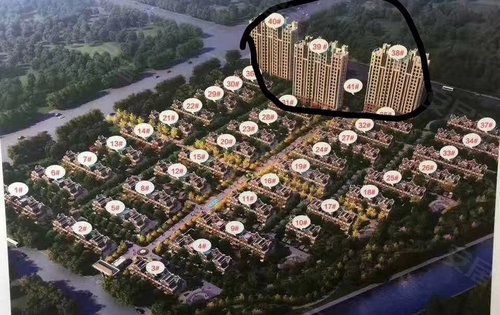 沈阳孔雀城最新动态与指南