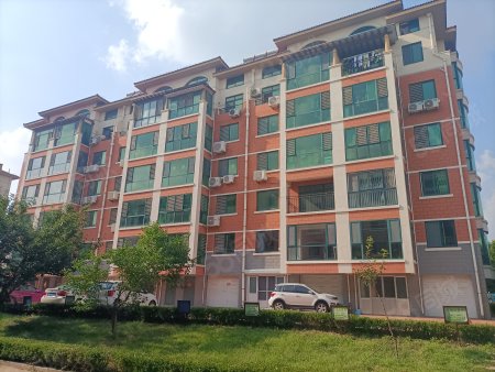 山东莱阳最新楼盘房价，温馨家园与友情纽带，莱阳新楼盘探索