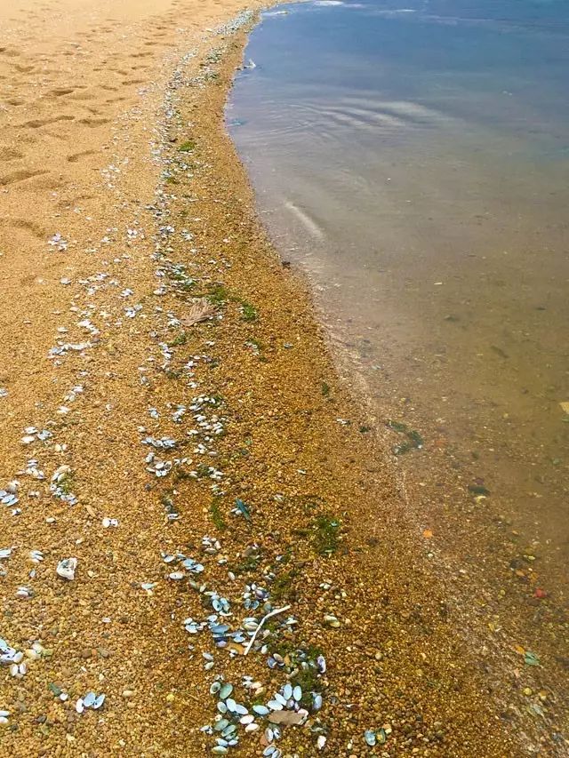 探寻海南琼海最新房价动态，理想居住的性价比之选