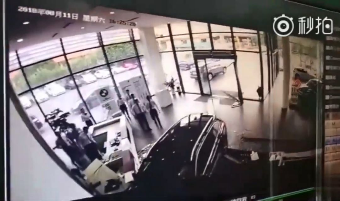 狐狸最新视频，小巷深处的特色小店探秘之旅